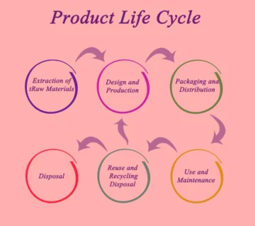این تصویر نمایش دهنده بنر مقاله چگونه مدیر محصول شویم؟ که شامل توضیحاتی به زبان انگللیسی در ارتباط با چرخه عمر محصول است.